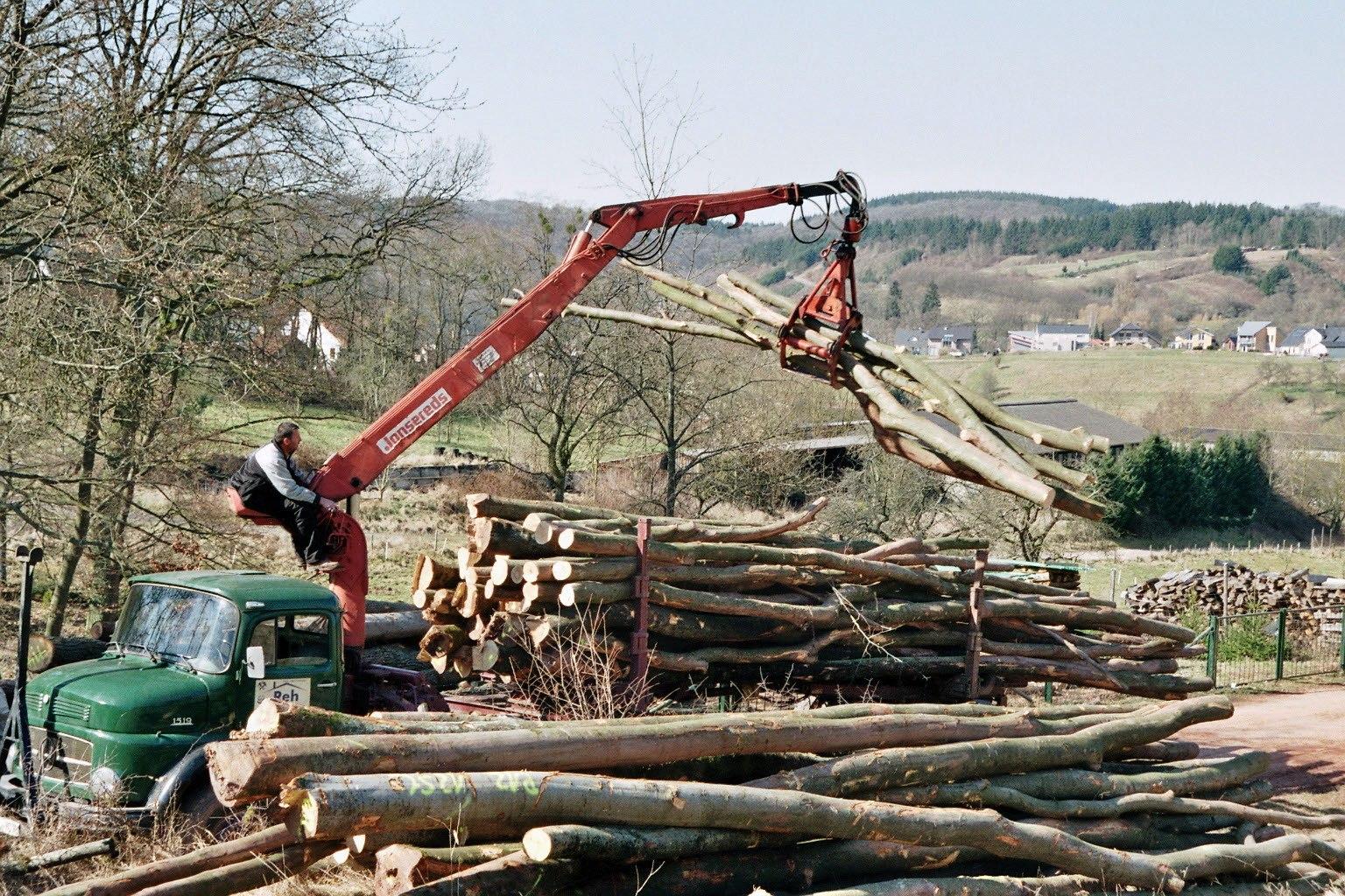 merclak1519holz_6.jpg