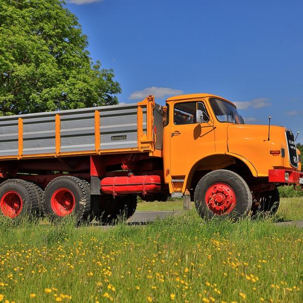 FD248156.JPG
