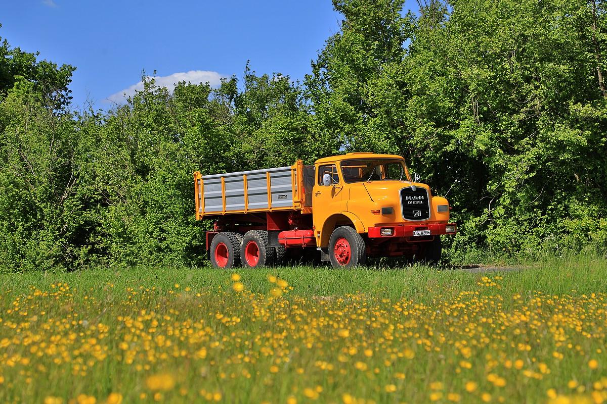 FD248164.JPG