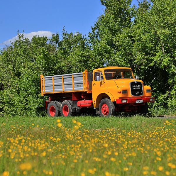 FD248164.JPG