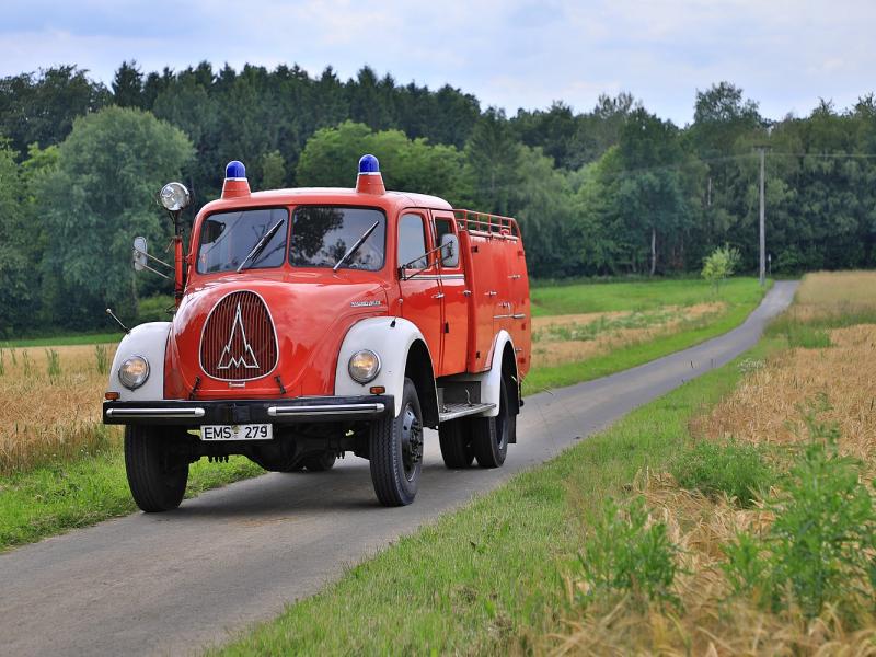 FD241883.JPG
