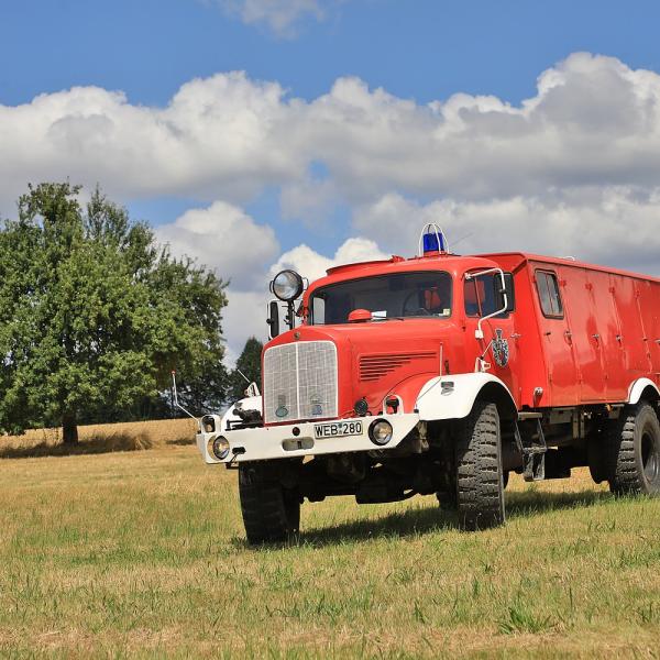 FD243338.JPG
