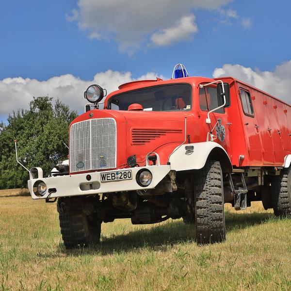 FD243346.JPG