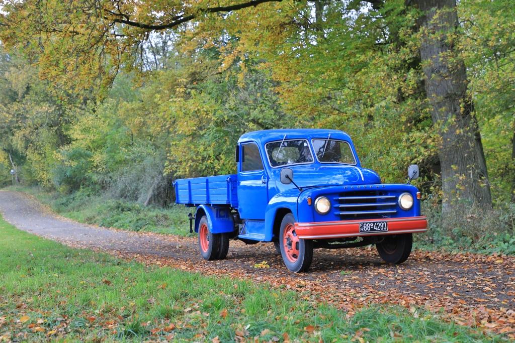 L28 (1).JPG